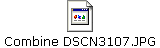 Combine DSCN3107.JPG
